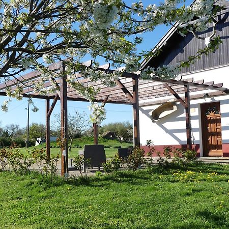 Bed and Breakfast Tisza White House Tiszaszolos Екстер'єр фото