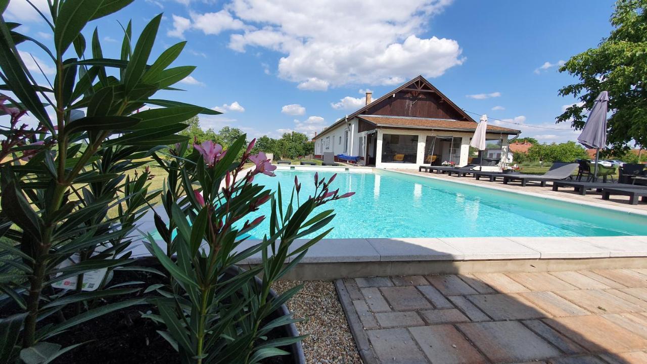 Bed and Breakfast Tisza White House Tiszaszolos Екстер'єр фото