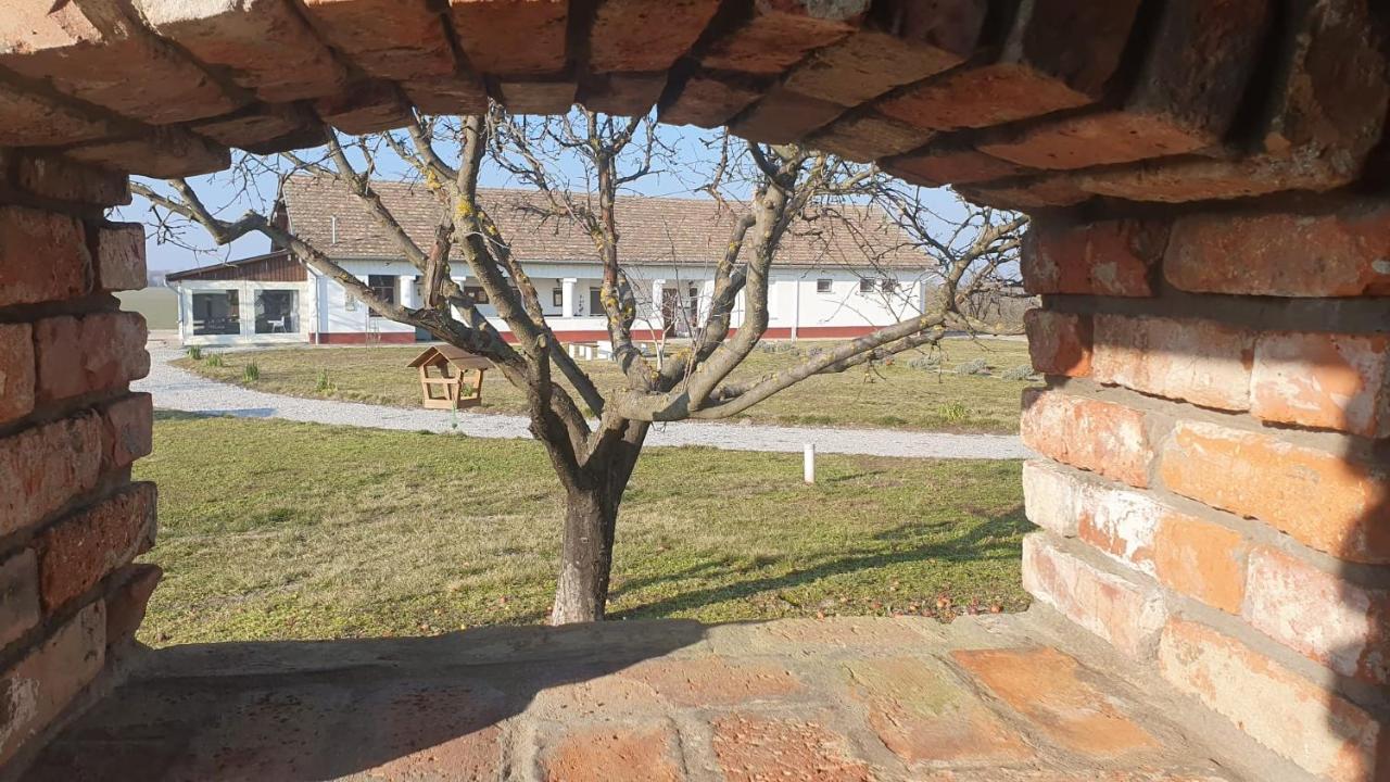 Bed and Breakfast Tisza White House Tiszaszolos Екстер'єр фото