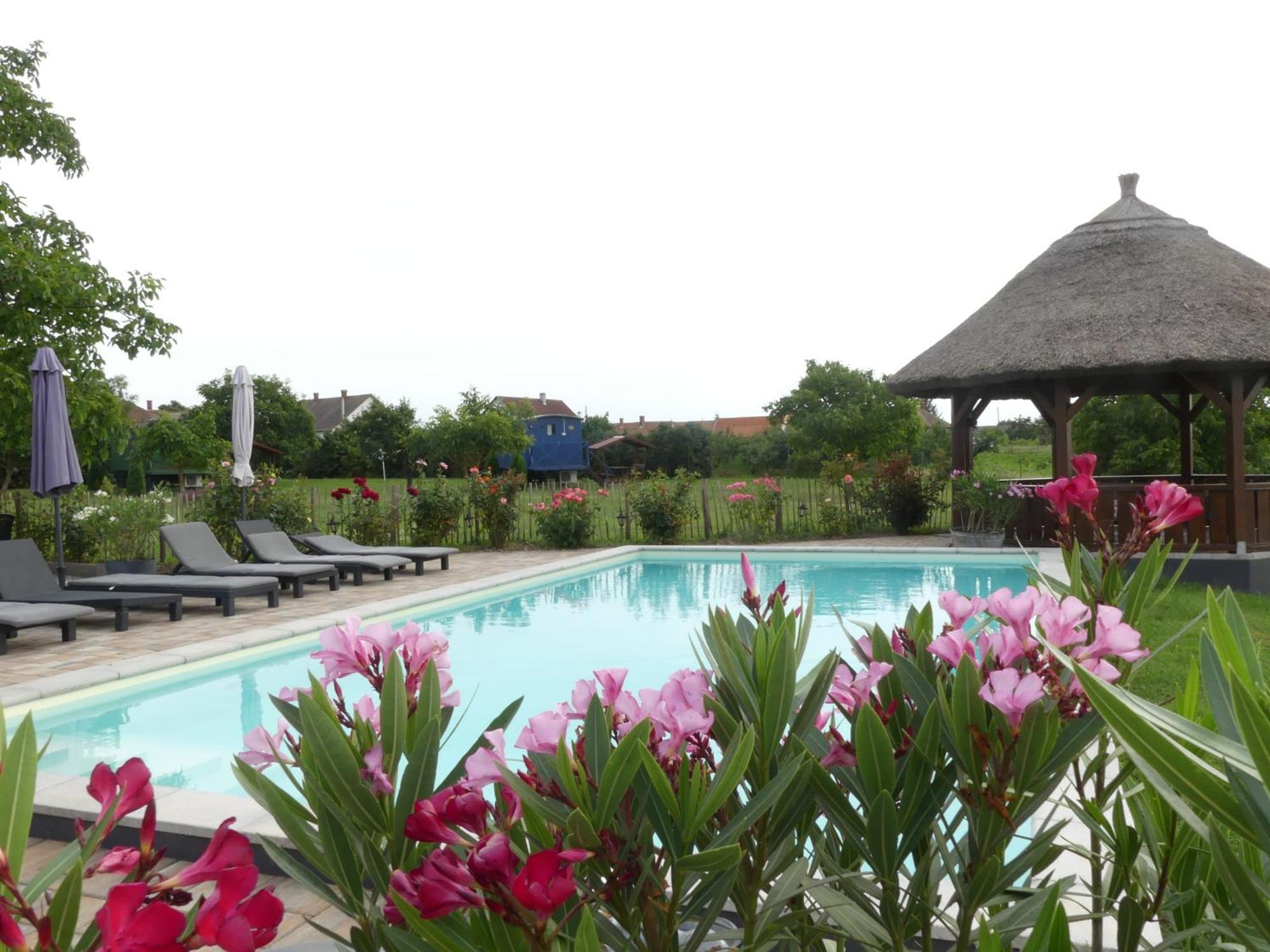 Bed and Breakfast Tisza White House Tiszaszolos Екстер'єр фото