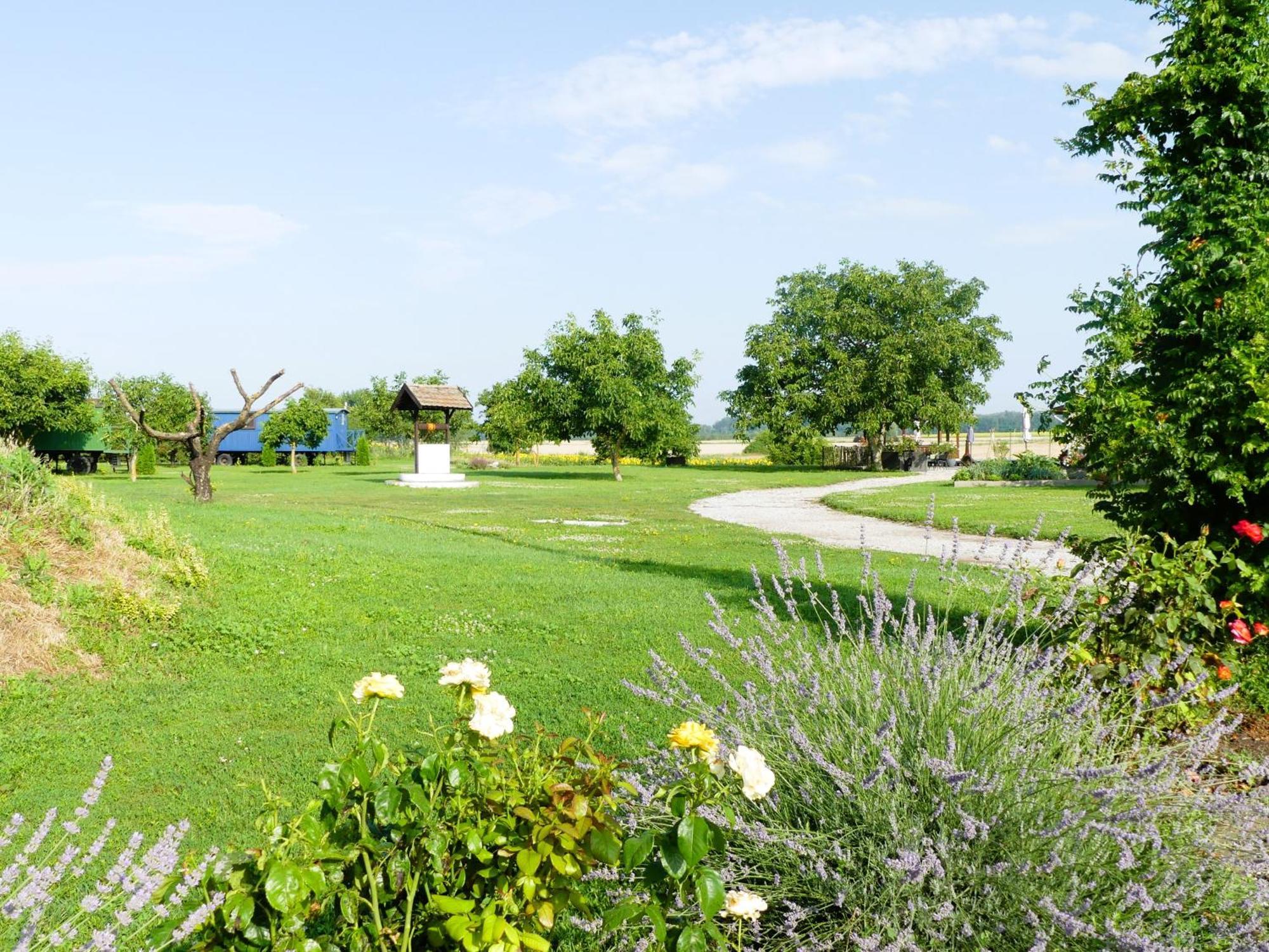 Bed and Breakfast Tisza White House Tiszaszolos Екстер'єр фото